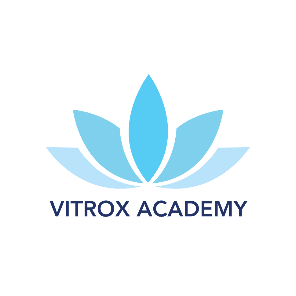 ViTrox Academy Logo